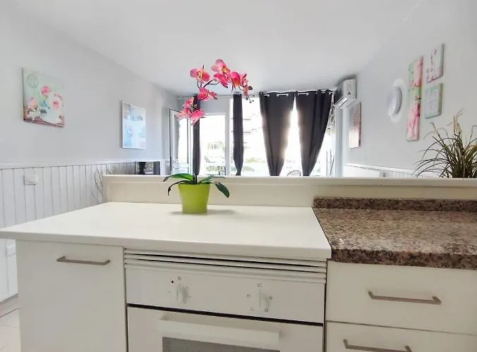 Sunshine Borinquen Lejlighed *