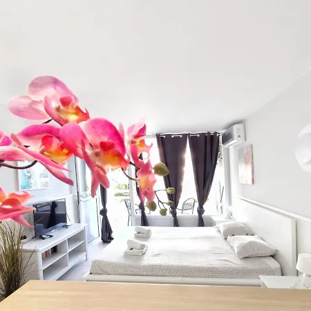 Sunshine Borinquen Апартаменты *