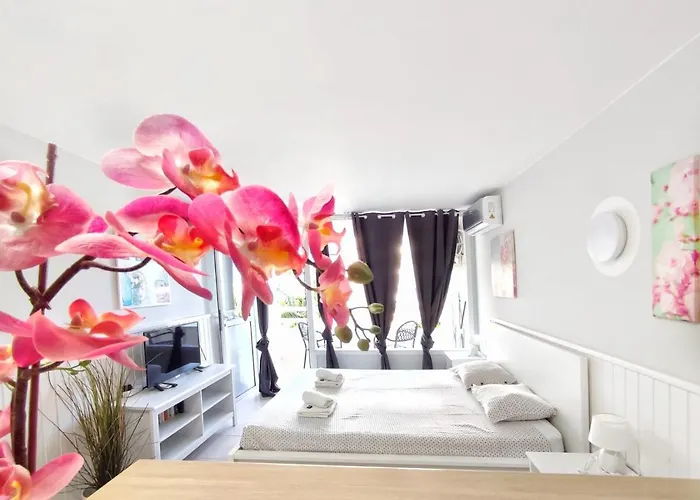 Sunshine Borinquen Apartman *